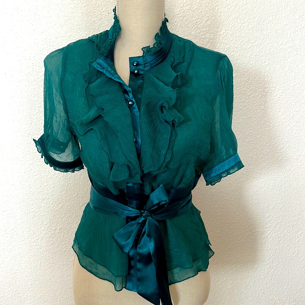 Beautiful chiffon and turquoise blouse.